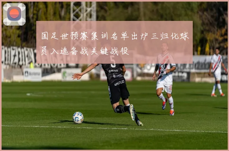 国足世预赛集训名单出炉三归化球员入选备战关键战役