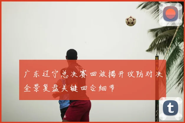 广东辽宁总决赛回放揭开攻防对决全景复盘关键回合细节